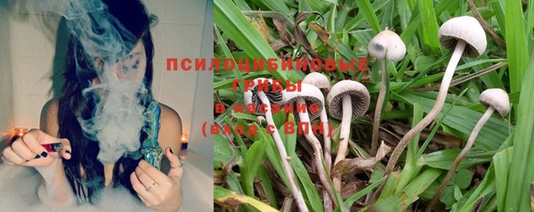 стафф Абдулино